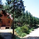 남해-305 이미지