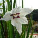 장현3리 이미지