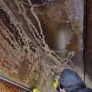 세움클린 이미지