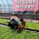 신안농산 | 감사의 마음이 전해지는 ‘수제 약식 선물’ 후기 & 고객 감사 문자