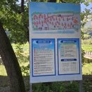 계림정야영장 이미지