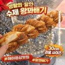 해미읍성왕꽈배기김제금구점 | 팔뚝만한 패스츄리 왕꽈배기 먹어봄 | 해미읍성 왕꽈배기 김제금구점