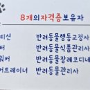 개미용중 이미지