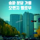 정자중앙길 이미지