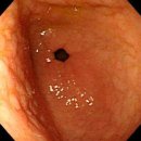 스타내과의원 이미지