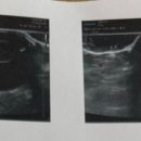 온담동물의료센터 이미지