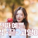 모아드라이크리닝 이미지