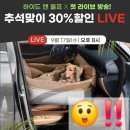 주)두손비앤아니 | 넓고 안정적인 카시트 [하이드 앤 울프 카시트]로 바꿨다개 🐶 내돈내산-리얼후기-일기♡