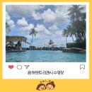 하얏트리젠시인천호텔 | 괌 하얏트 리젠시 수영장 후기｜아이랑 가기 좋은 호텔·오션뷰