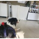 제리식탁 이미지