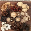 온바로한의원 | 건강 관리 불면증 때문에 찾은 한의원, 실제 치료 후기!