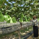 월야농장 이미지