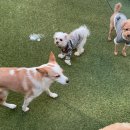 멍돌하우스 이미지