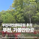 공원휴게소 - 당진시 삽교천3길 66 | 부천자연생태공원 다녀온 후기 (부천가볼만한곳,주차정보,아이랑가기괜찮은지,유아휴게소,11개월)