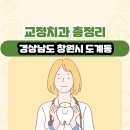 새복음약국 | 경상남도 창원시 도계동 교정치과 총정리