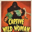 1943 포로로 잡힌 야인Captive Wild Woman 이미지