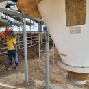 산하 한우농장 이미지