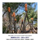 생명의 소리 이미지