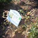 함열초등학교 이미지