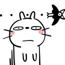 원당지 이미지