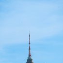 호돌이카랜드 네이버블로그