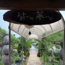 닭이랑 삼이랑