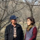 김병환농장 이미지