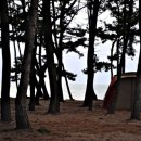 은빛모래야영장 이미지