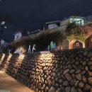 꽃보라동산 이미지