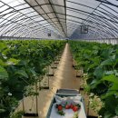 대바위농장 이미지