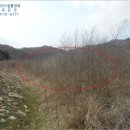 홍천군화촌면장평보건진료소 이미지