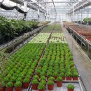 모악농장 이미지