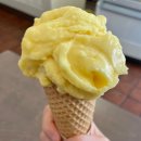 위드푸르츠 | 프라하 젤라또 맛집, 크렘 드 라 크렘(Crème de la Crème) 방문 후기