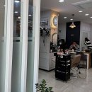 제주 이쁘냥 고양이미용실 | 제주미용실, 이런 곳 찾기 힘들어요! 감각과 편안함이 공존하는 공간 소개