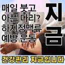 (주)건강한사람들 | 발산역PT 👨🏻‍⚕️ 하지정맥류 예방하는 하체 웨이트 트레이닝 루틴 가이드