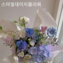 지오할인코너