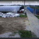 월곡농장 Daum카페