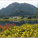 피오르드 이미지