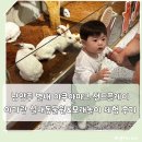 아쿠아 파크 | 남양주 별내 아쿠아파크 샌드플레이|아기랑 실내동물원&amp;모래놀이 체험 후기