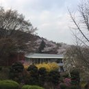 시흥보육사