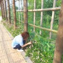 순천만 그리고 나 이미지