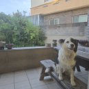 오쿠다공항점 이미지