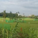 선학파크골프장 이미지