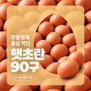 ❌️품절❌️ 햇초란 계란 90구 9,900나언 이미지