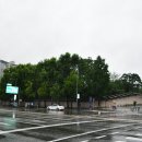 삼전동우체국앞 이미지