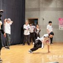 로빈