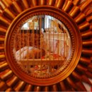 백설공주 팬션 이미지