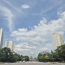 파주자유로휴게주유소 | [경기 드라이브-파주] 넓고 연두색뷰 좋은 카페 & 불향 간짜장
