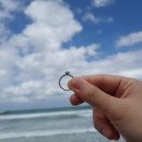 녹차향민박 | 제주도 동쪽 오션뷰 숙소 고등어민박 후기