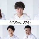 닥터화이트